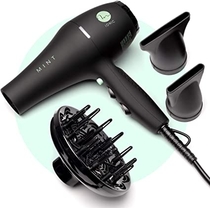 People recommend "Professional Series BLACKBIRD Ionic Hair Blow Dryer with Diffuser by MINT | Extremely Quiet and Lightweight with 1875 Watts of Salon-Grade Drying Power."