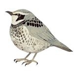 Инстаграм страницы от Jay Lin