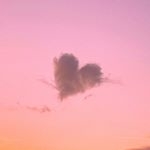 Инстаграм страницы от Jay Lin