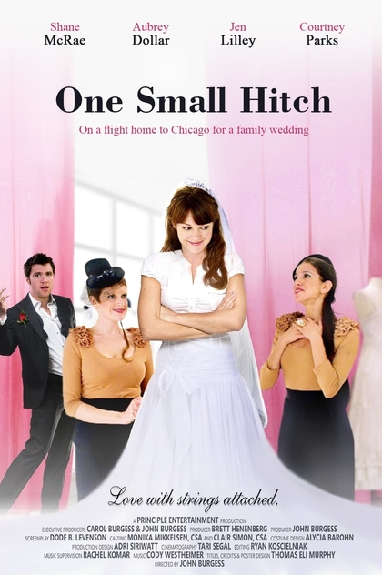 One Small Hitch - 2013