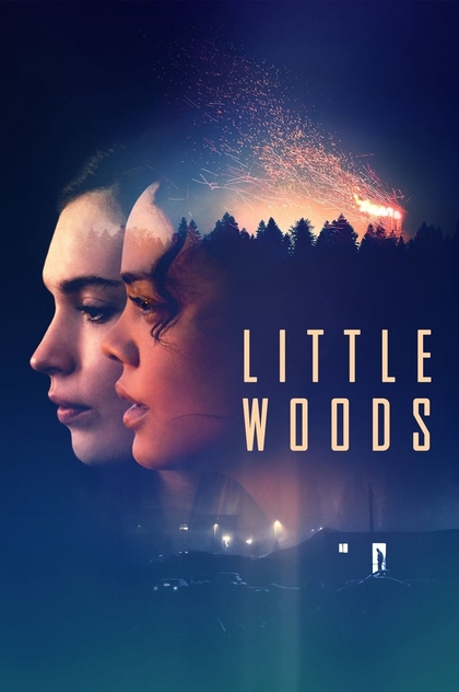 Little Woods - 2019