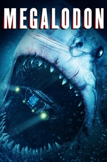 Movies from Лидия Чильдинова