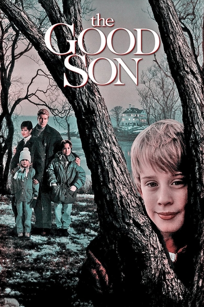 The Good Son - 1993