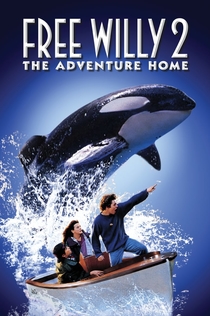 Movies from POLI K