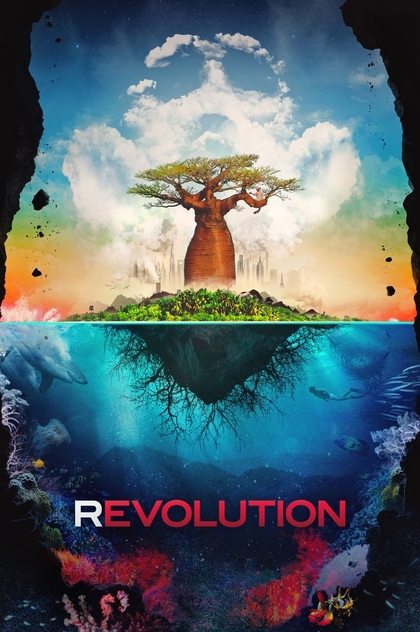 Revolution - 2013
