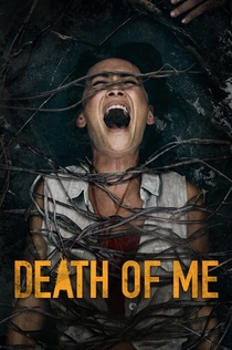 Movies from Виктория Шенмаер