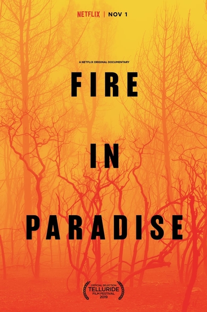 Fire in Paradise - 2019