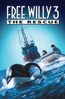 Movies from POLI K
