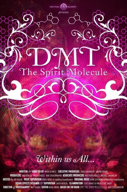 DMT: The Spirit Molecule - 2010