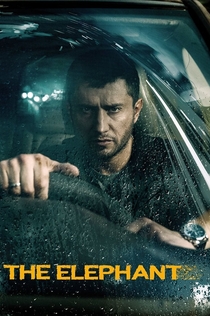 Movies from POLI K