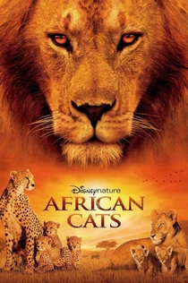 African Cats - 2011