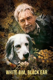 Movies from Ayumi Misa