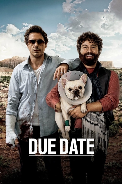 Due Date - 2010