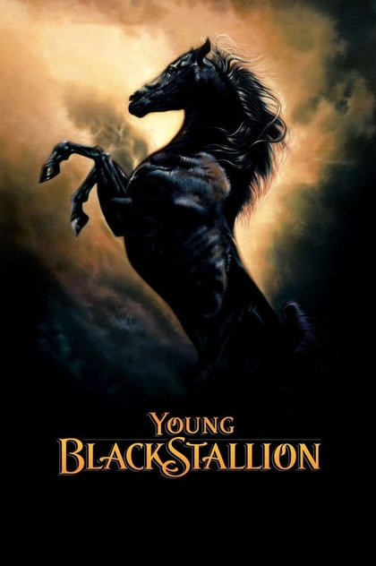 Young Black Stallion - 2003