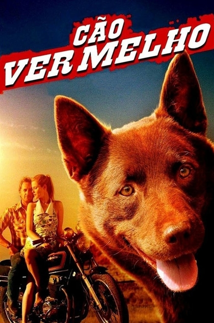 Red Dog - 2011