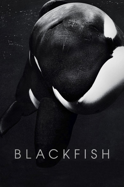 Blackfish - 2013