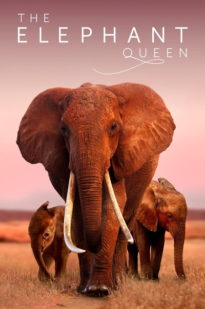 The Elephant Queen - 2019
