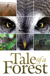 Movies from Галина Кручинина