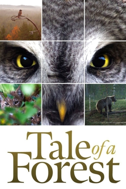 Tale of a Forest - 2012