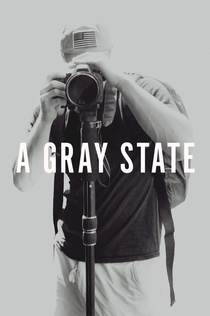 A Gray State - 2017