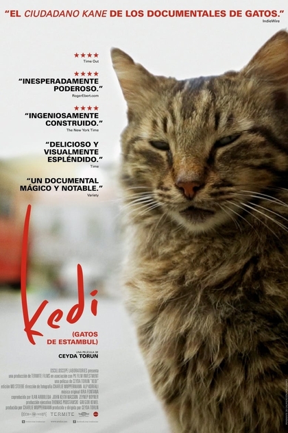 Kedi (Gatos de Estambul) - 2017