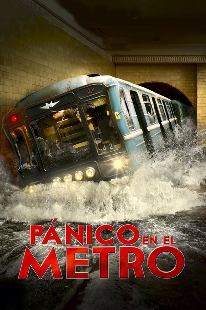 Pánico en el metro - 2013