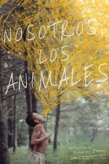 We the Animals - 2018