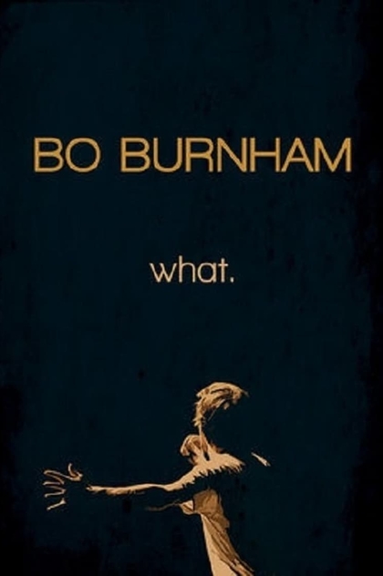 Bo Burnham: What. - 2013