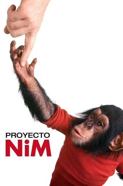 Proyecto Nim - 2011