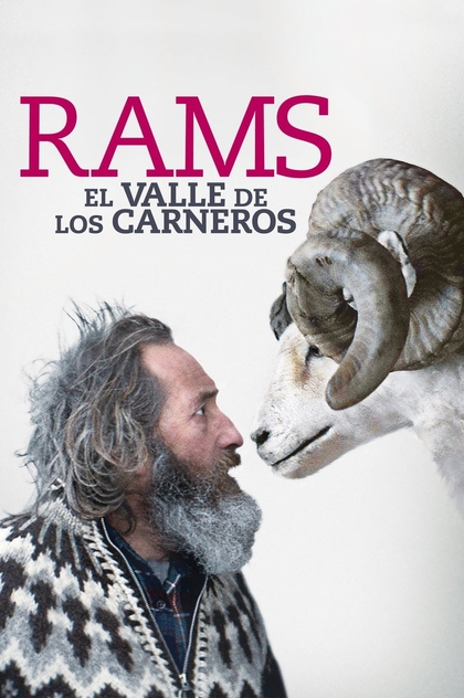 Rams (El valle de los carneros) - 2015