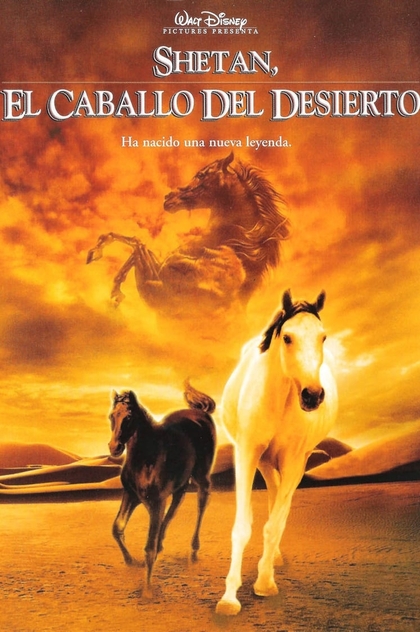 Shetan, el caballo del desierto - 2003