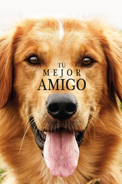 Tu mejor amigo - 2017