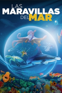 Las maravillas del mar - 2017