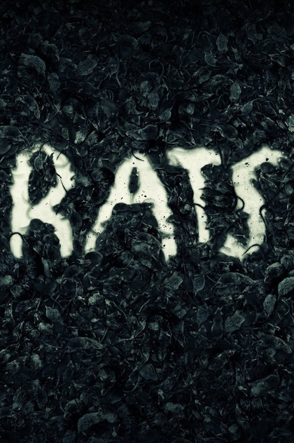 Rats - 2016