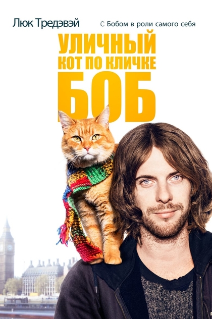 Уличный кот по кличке Боб - 2016