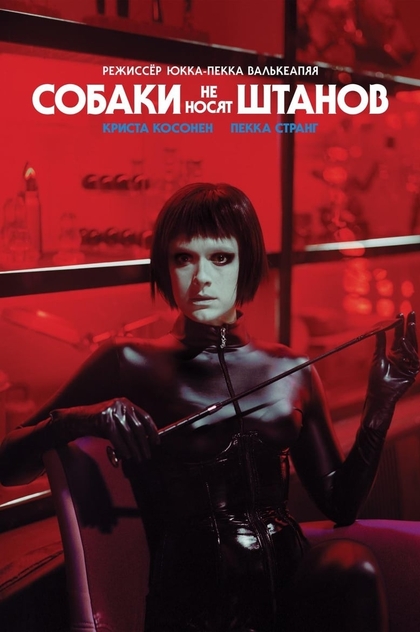 Собаки не носят штанов - 2019