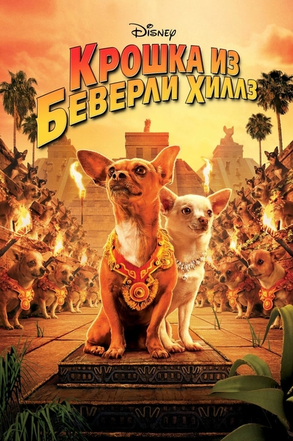 Крошка из Беверли-Хиллз - 2008