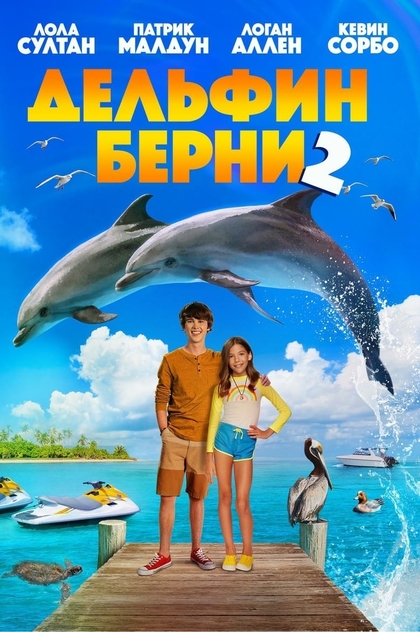 Дельфин Берни 2 - 2019