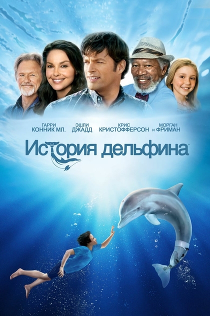 История дельфина - 2011