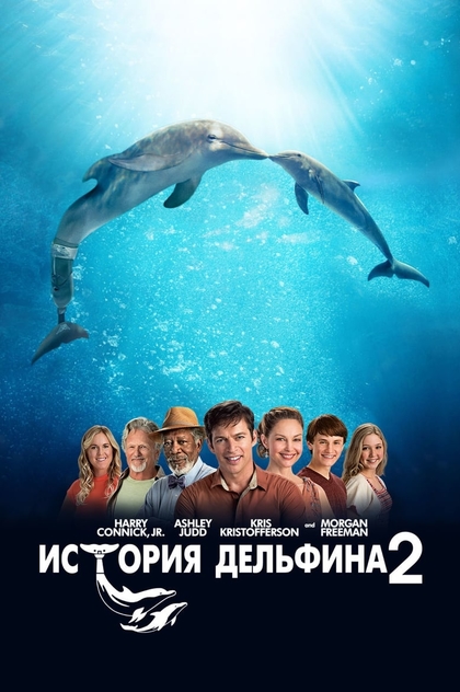 История дельфина 2 - 2014