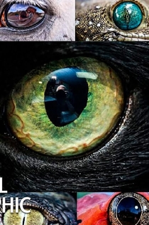 Фильмы от Настя К