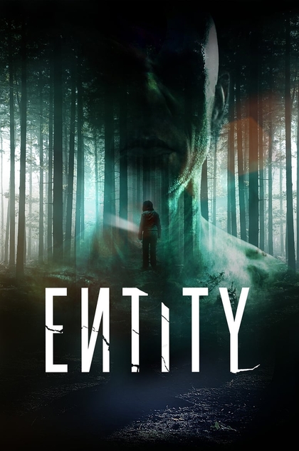 Entity - 2012