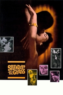 Splendor in the Grass - 1961