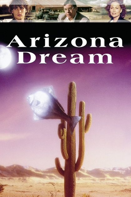 Аризонська мрія - 1993