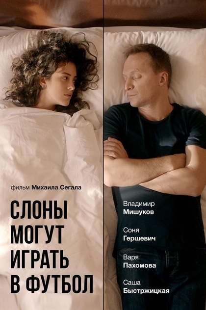 Слоны могут играть в футбол - 2018