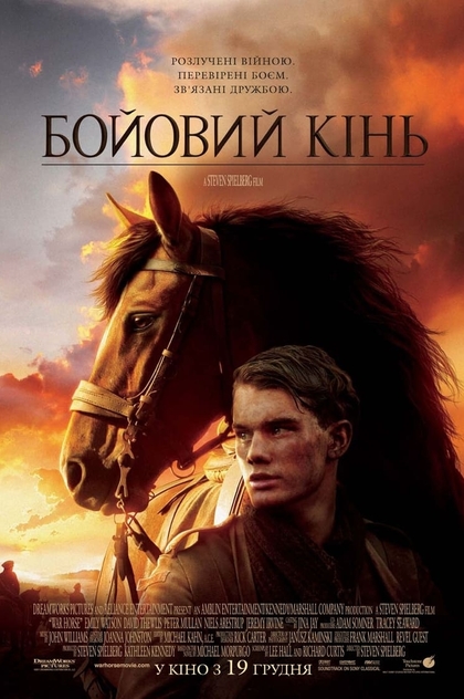 Бойовий кінь - 2011