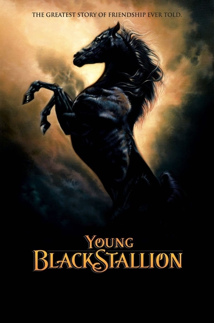 Young Black Stallion - 2003