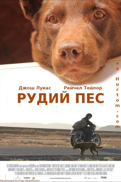 Рудий пес - 2011