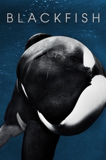 Blackfish - 2013