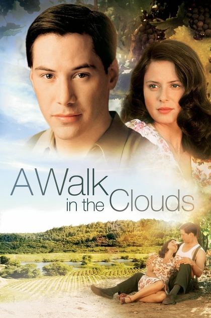 Прогулянка у хмарах - 1995